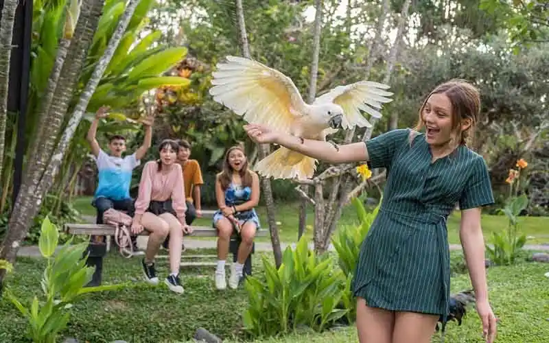 bird park bird park